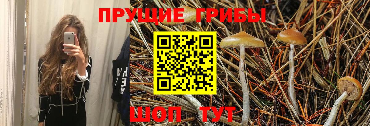 Галлюциногенные грибы GOLDEN TEACHER  Вход с VPN  Ижевск 