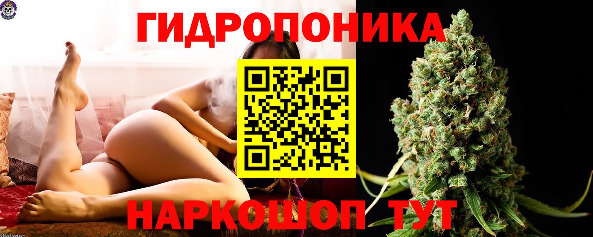 Ижевск  Каннабис планчик  Вход с VPN  Бошки Шишки Bruce Banner  МАРИХУАНА AK-47 